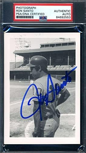 רון סנטו PSA DNA COA חתום בתצלום המקורי של משנת 1970 שיקגו קאבס חתימה - תמונות MLB עם חתימה